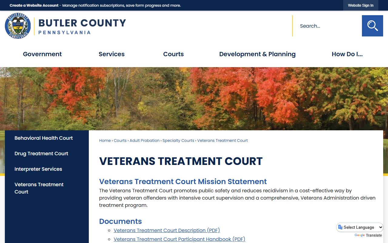 Butler County Court of Common Pleas Veterans Treatment Court records